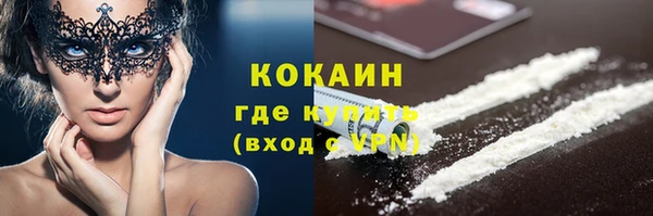 дживик Ельня