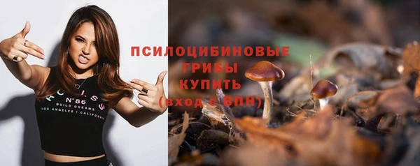 эйфоретик Дмитровск