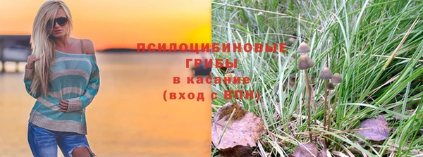 хмурый Дмитриев