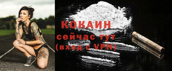 эйфоретик Дмитровск