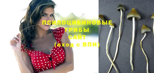 хмурый Дмитриев