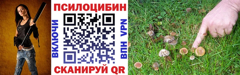 Купить где  Туапсе  Псилоцибиновые грибы Magic Shrooms 